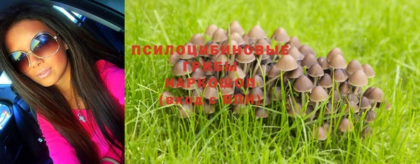прущие крисы Коряжма